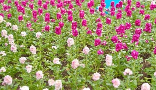 なぜ１年前の自分と何も変われていないのか？